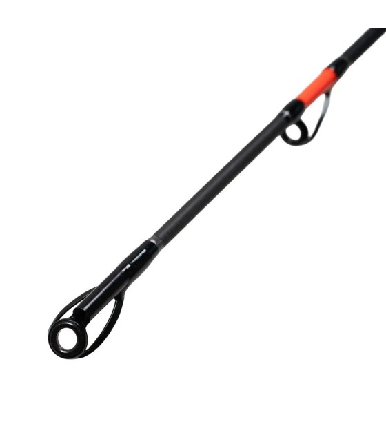 Lanseta FL Cat fish Passion PRO 300