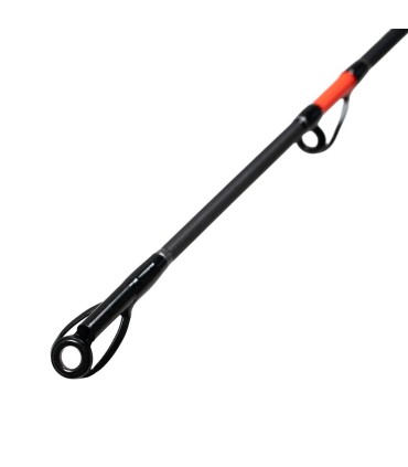 Lanseta FL Cat fish Passion PRO 300