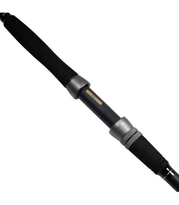 Lanseta FL Cat fish Passion PRO 300