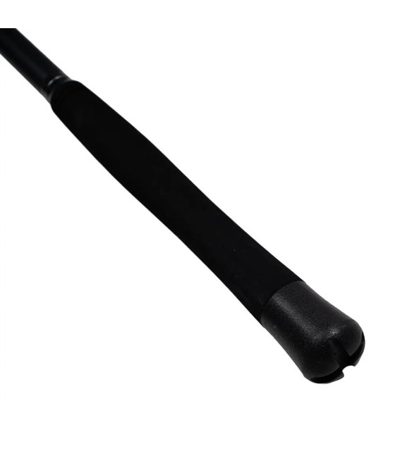 Lanseta FL Cat fish Passion PRO 300