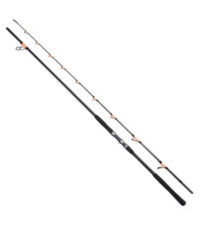 Lanseta FL Cat fish Passion PRO 300
