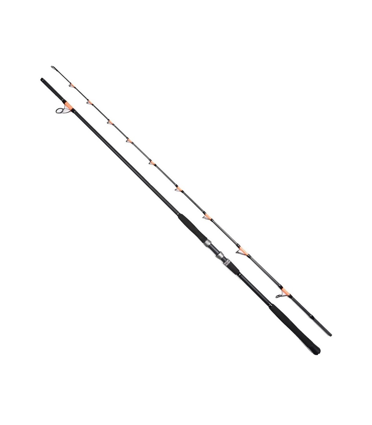 Lanseta FL Cat fish Passion PRO 300