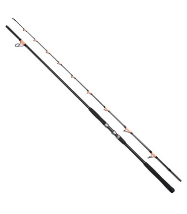 Lanseta FL Cat fish Passion PRO 300