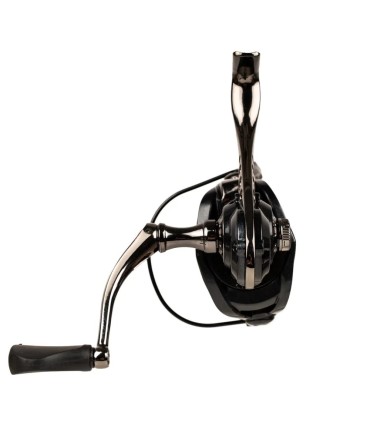 Mulineta FL strategist ST