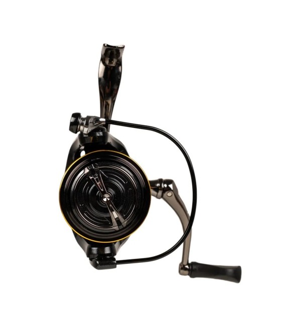 Mulineta FL strategist ST