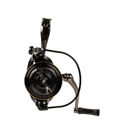 Mulineta FL strategist ST