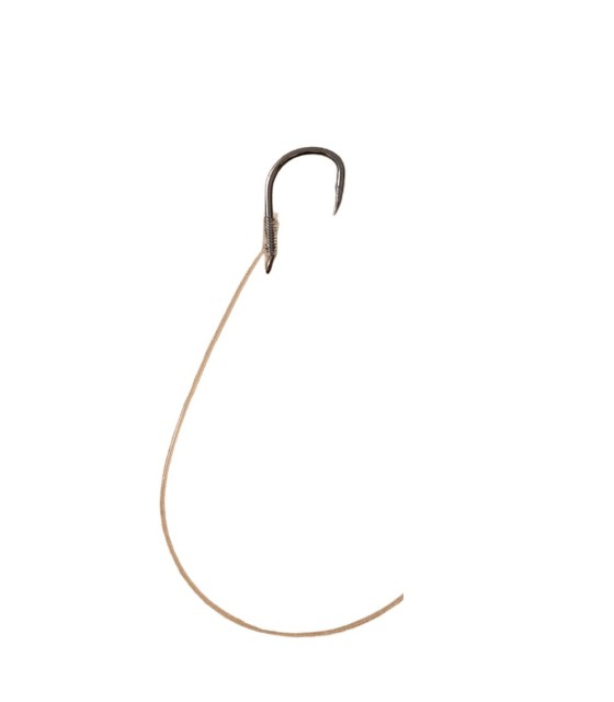 SET 10 CARLIGE LEGATE SNELL HOOKS CARP CORN