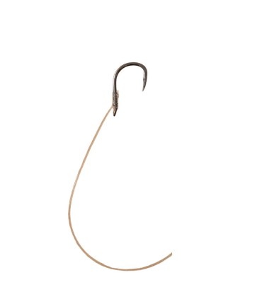 SET 10 CARLIGE LEGATE SNELL HOOKS CARP CORN