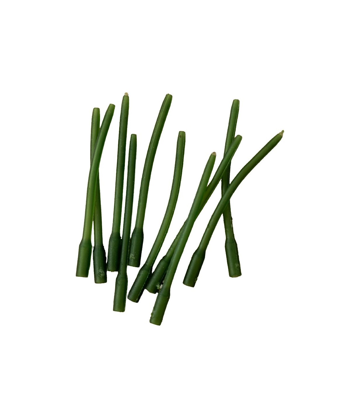 CON ANTITANGLE CAMOU GREEN FL