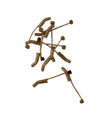 D-RIG LINE ALIGNER  PROFL