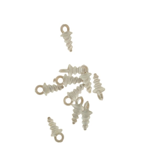 SURUB MOMEALA DIN PLASTIC FL