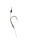 SET 8 CARLIGE LEGATE CARP RIG CLASIC BOILLIE