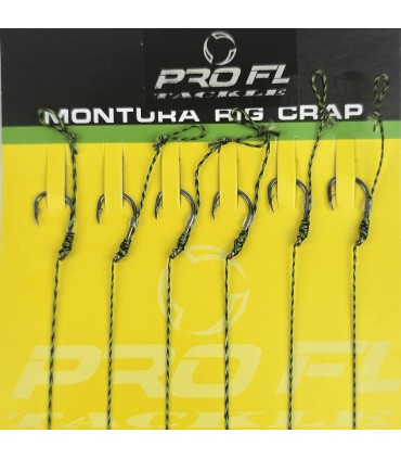 SET SASE CARLIGE LEGATE -RIG CARP PROFL