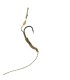 SET SASE CARLIGE LEGATE CLASSIC - LINE ALIGNER RIG