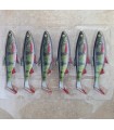 SHAD 16CM : 81627