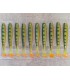 SHAD 12.5CM : 75367